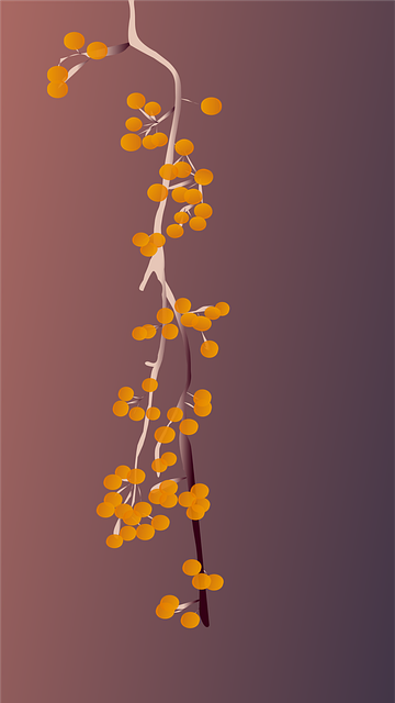 Free oriental bittersweet berries plant vector