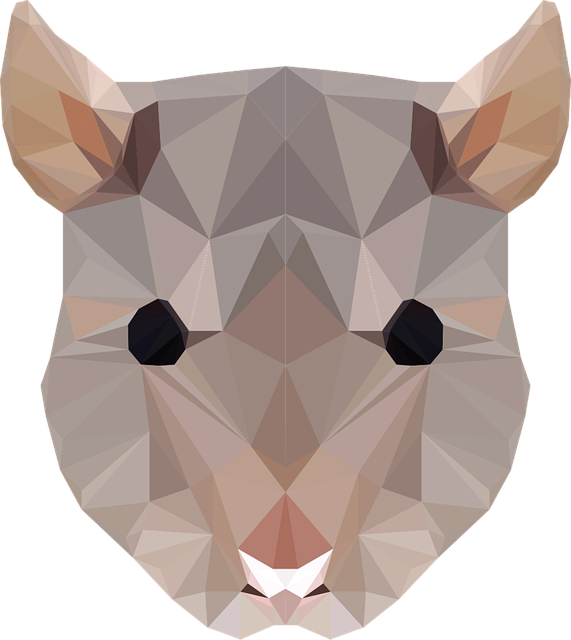Free Rat Rodent vector and picture