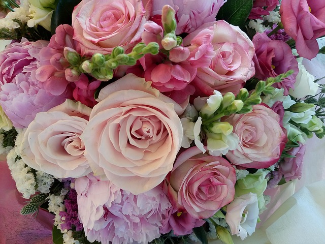 Rozen, Magie, Pastel