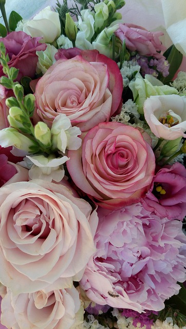 Rozen, Pastel, Magie