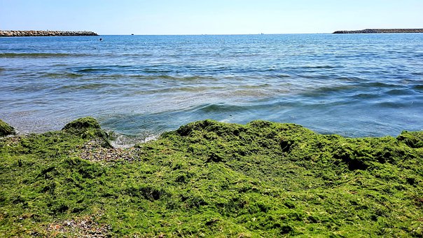 Free Marea Negra Beach photo and picture