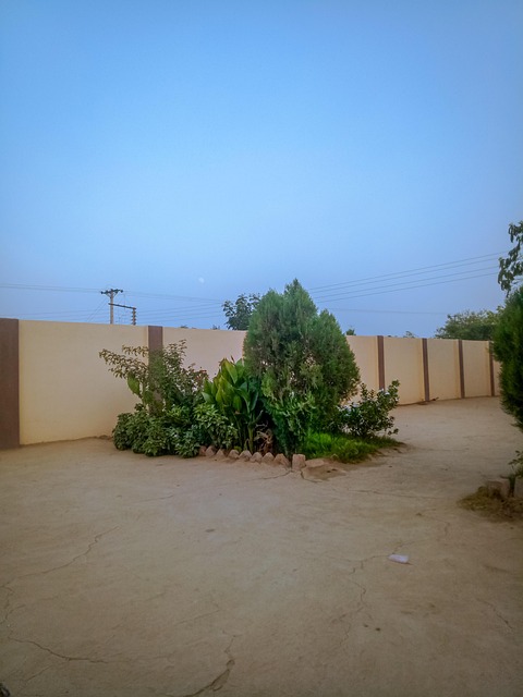 Free House Architecture photo and picture