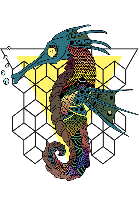 タツノオトシゴ 魚 動物 Pixabayの無料画像