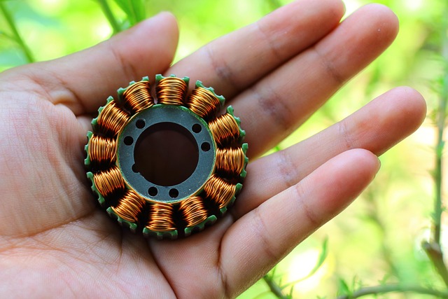 Free Magneto Stator Coil Coil photo and picture