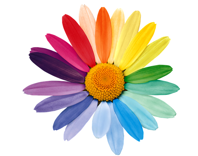 Marguerite, Daisy, Regnbuens Farver