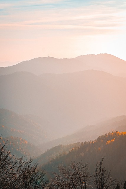 Free Mountains Trees photo and picture