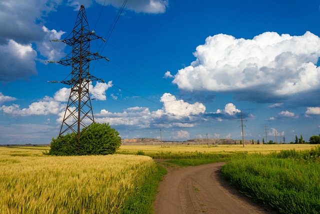 Free Небо Пшеница photo and picture