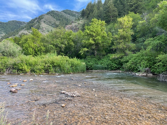 Free Outdoors Nature photo and picture