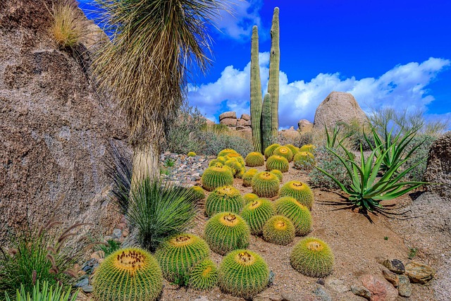 Free Scottsdale Arizona photo and picture