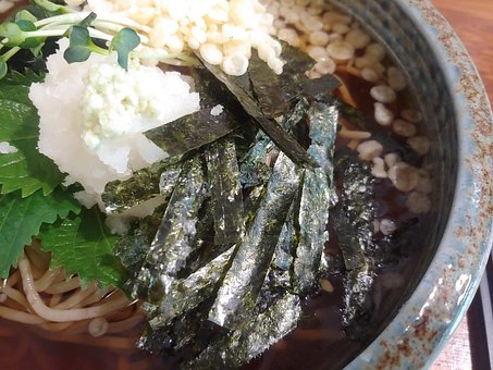 Free Soba Cold Noodles photo and picture