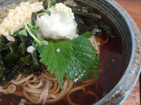 Free Soba Cold Noodles photo and picture