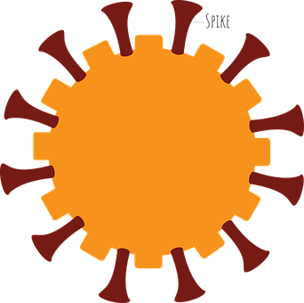 Spike, Zelle, Virus, Impfung, Covid
