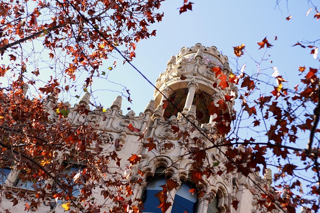 Spanien, Ferie, Barcelona, Naturen