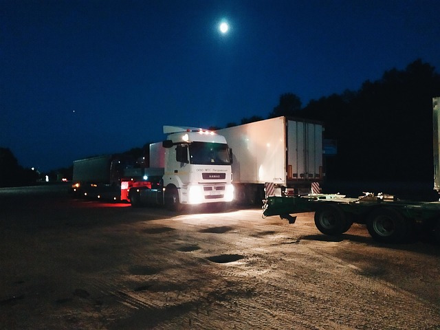 Free Night Road photo and picture