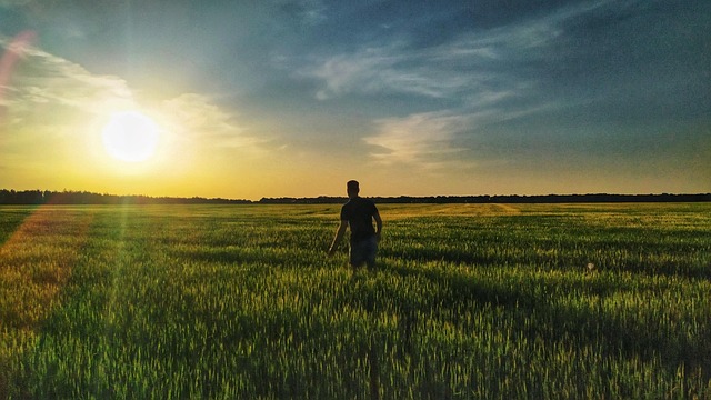 Free Dawn Field photo and picture
