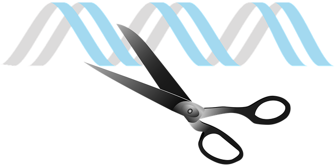 Crispr, Gen-Editing, Genmanipulation