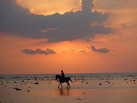 Free Horseback Riding Beach photo and picture