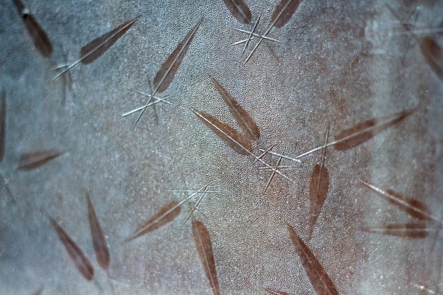 Free Window Glass Antique photo and picture