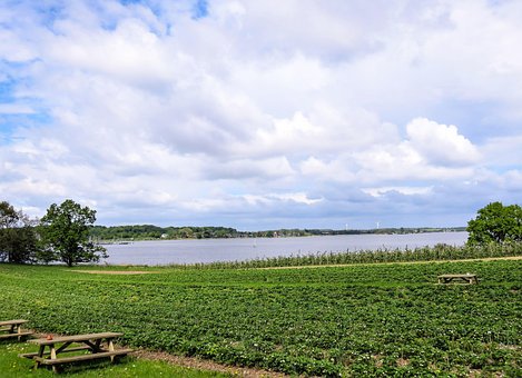 Pole, Jahodové Pole, Jezero, Voda, Nebe