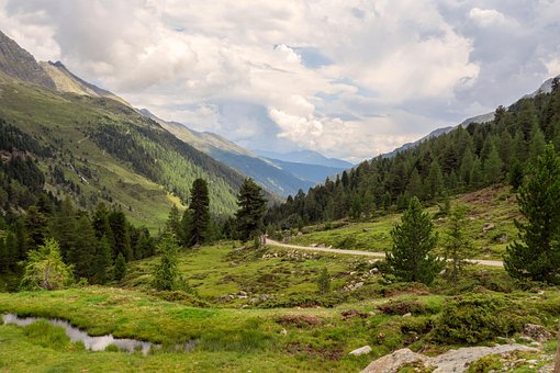 Free Mountains Trees photo and picture