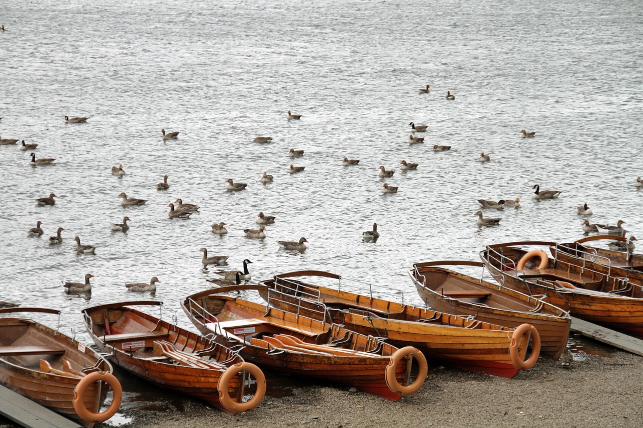 Lake Boats Wooden - Free photo on Pixabay