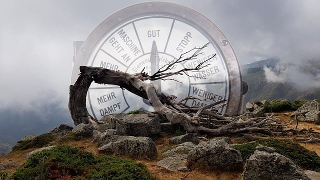 Free dead tree composing mountain illustration