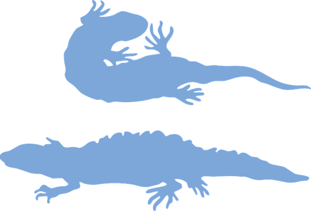 Free salamander silhouette amphibians vector