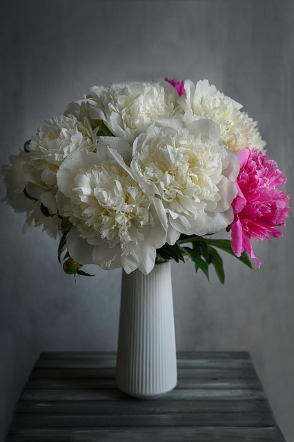 Pfingstrosen, Vase, Strauß, Blumen