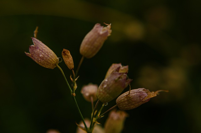 Free Artistic-Photography Lifestyle-Blogger photo and picture