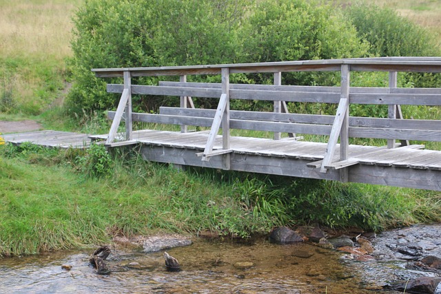 Free Bridge Connection photo and picture