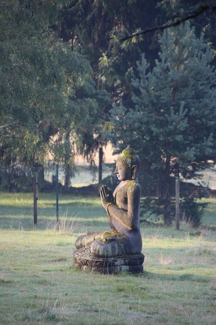 Free Quiet Meditate photo and picture
