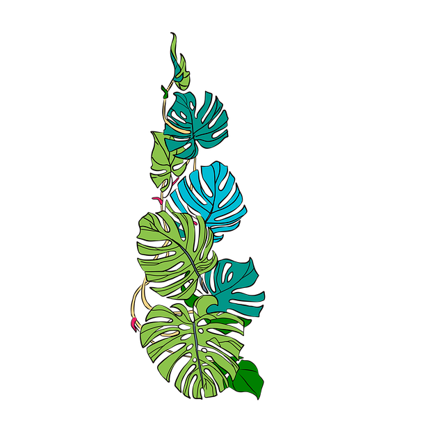 Free monstera leaves tropical illustration