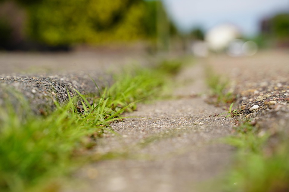 Rumput Trotoar Mengendalikan - Foto gratis di Pixabay