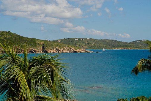Strand, Palmer, Ferie, Horisont