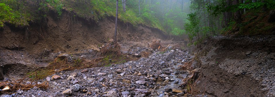 Free Crimea Deadfall photo and picture