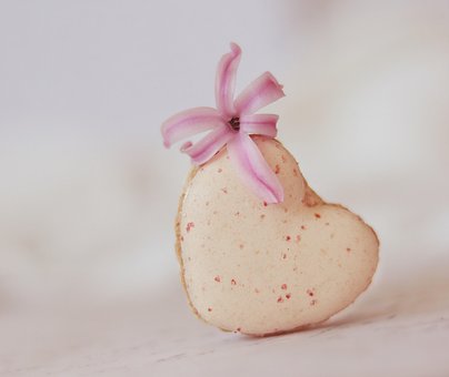 Free Macaron Heart photo and picture