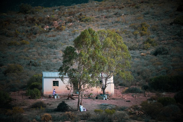 Free House Farm photo and picture