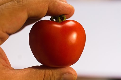 Free Tomato Fruit photo and picture