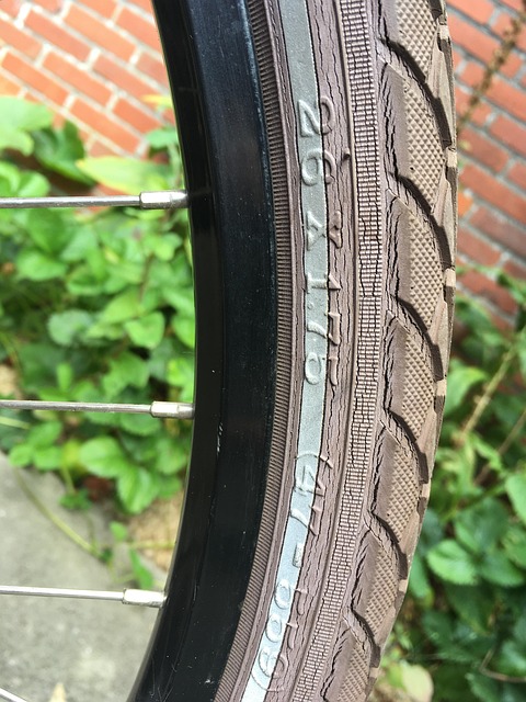 Free Bicycle Tire Wheel photo and picture