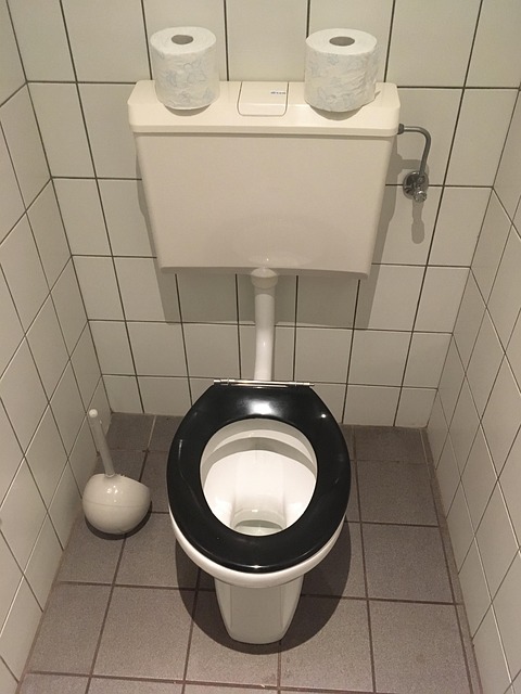Free Wc Toilet Bowl photo and picture