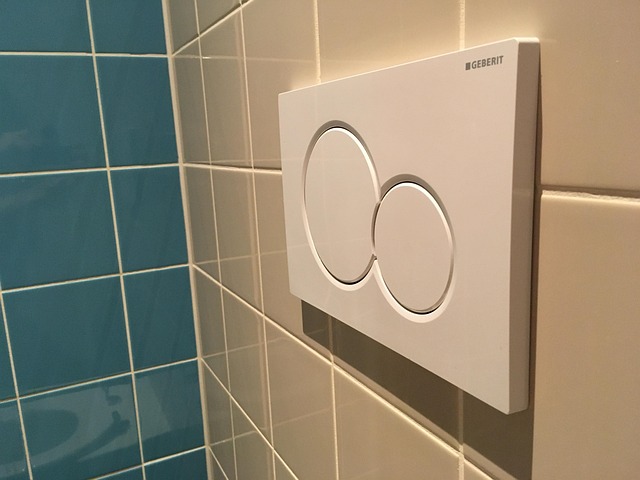 Free Wc Toilet photo and picture