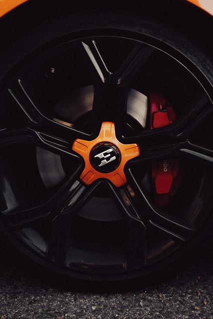 Free Wheel Tire photo and picture