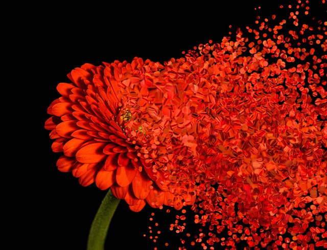 Free dispersion effect sparse illustration