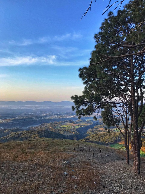 Free India Trek photo and picture