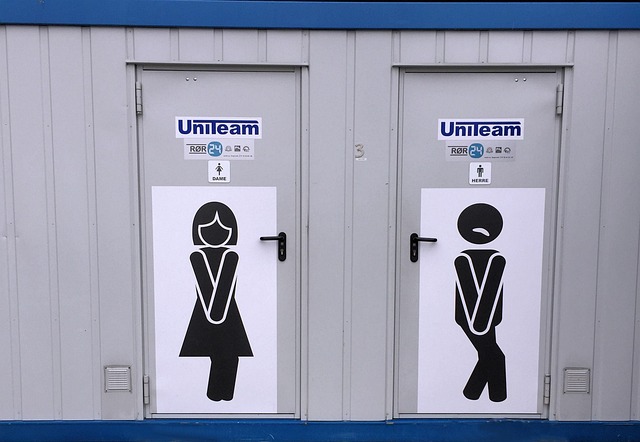 Free Ladies And Gents Toilet Norway photo and picture