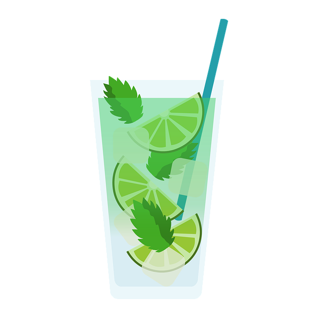 Free mojito mixed drink fruit illustration