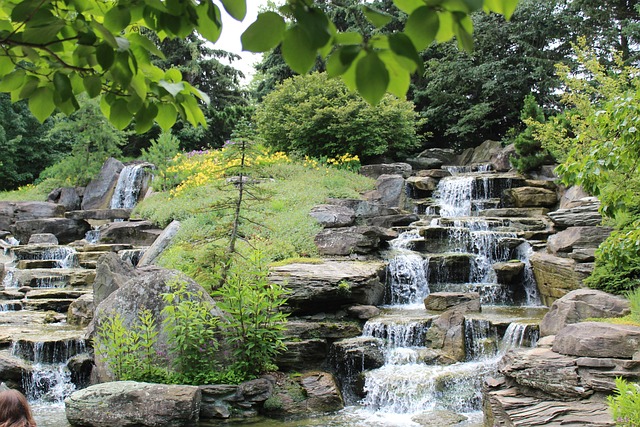 Free Waterfall Garden photo and picture