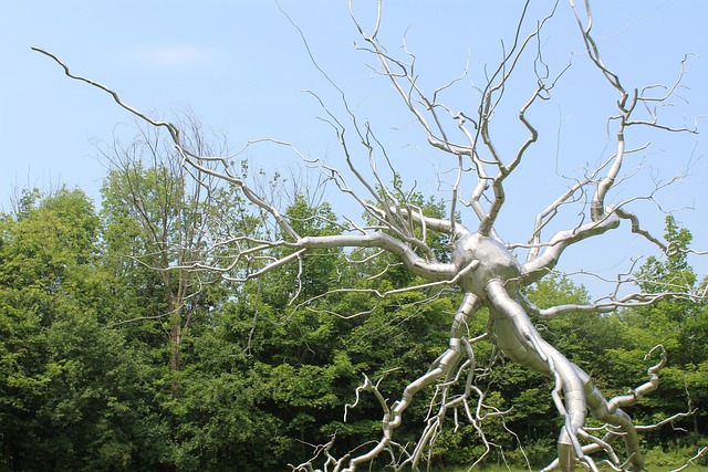 Free Art Sculpture photo and picture