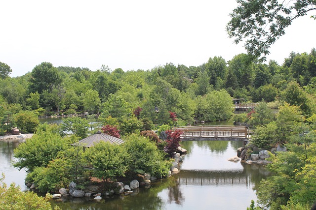 Free Garden Japanese photo and picture