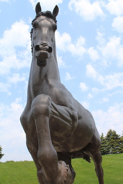 Free Horse Great American Horse photo and picture